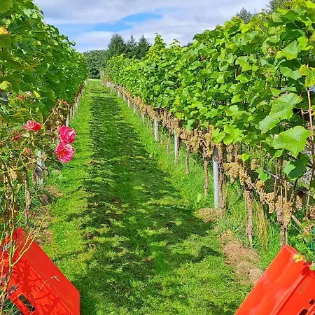 Porschdorfer Einkehr Apartman *