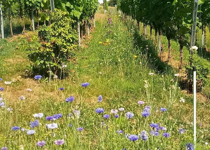 Porschdorfer Einkehr